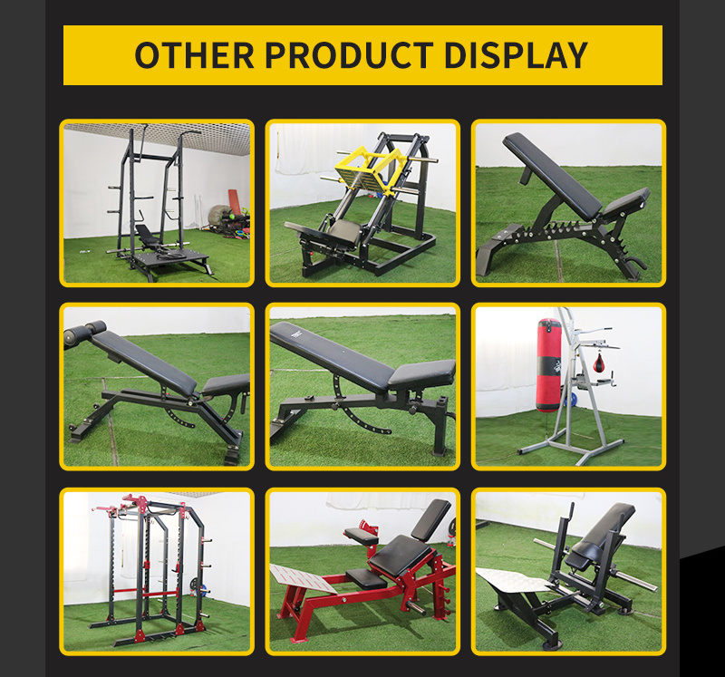 Gym Use and Home Use Back Extension Ab Bench Commercial Roman Chair
