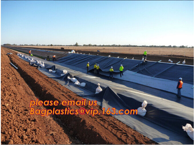 2.0mm geomembrane for landfill Hdpe geomembrane landfill geomembrane,hdpe geomembrane price/gse hdpe geomembrane BAGEASE 27