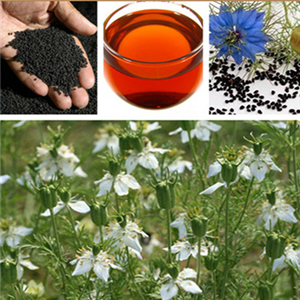 100% Natural Anti-oxidant Essential Black Cumin Seed Oil