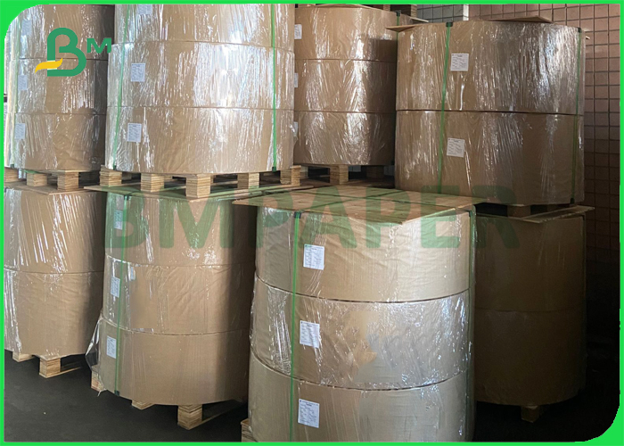  Safe 300gr + 18g PE Coated Paper For Lunch Packages 70cm 90cm Eco - Friendly