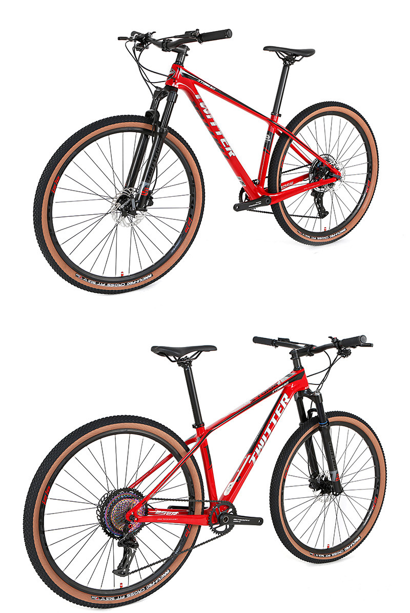 27.5 29er Carbon Firber Mountain Bike STORM2.0 RETROSPEC 13 Speed Groupset