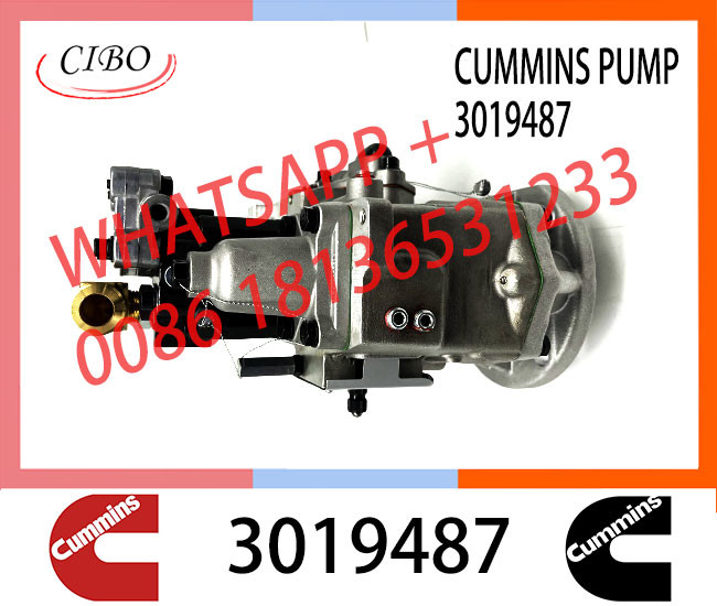 Genuine Diesel Fuel Injection Pump 2048809 3019487 3059657 For Cummins NT855