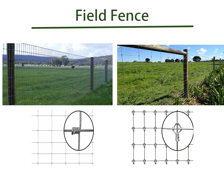 ISO9001 Galvanized Cattle Farming Wire Mesh Fence 200m/Roll