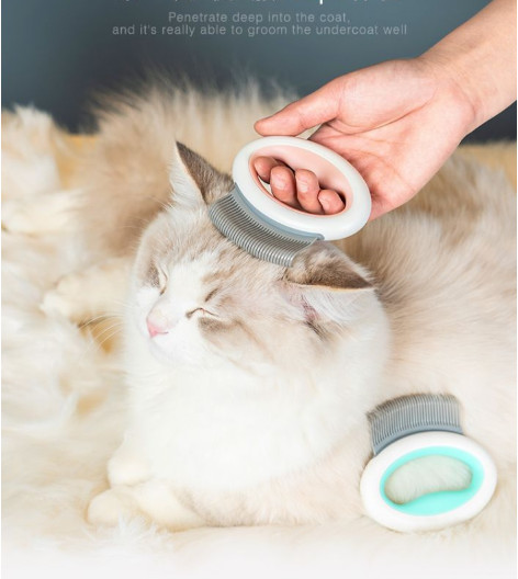 Oval Pet Grooming Tool Soft Tooth Cat Hair Cleaning Brush