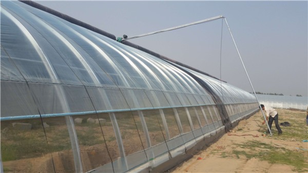 150/200 Micro Film Covered Solar Greenhouse For Yield Cucumber Farming