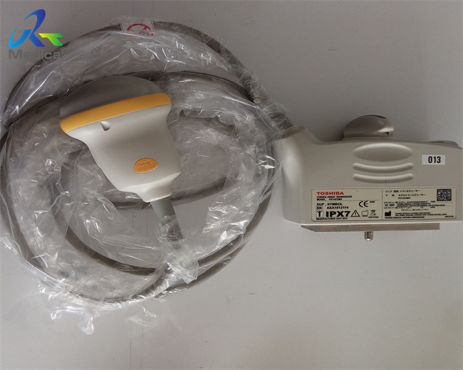 PVT-675MV 3D Ultrasound Transducer Convex Array Clinic Diagnostic Medical Equipment
