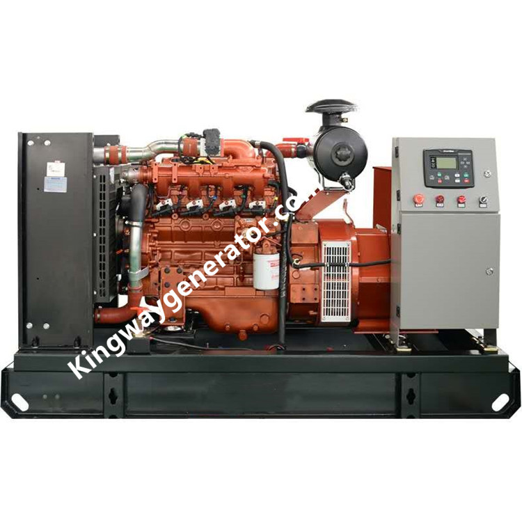 Community Use Silent Natural Gas Generator Set 275 KVA 220KW