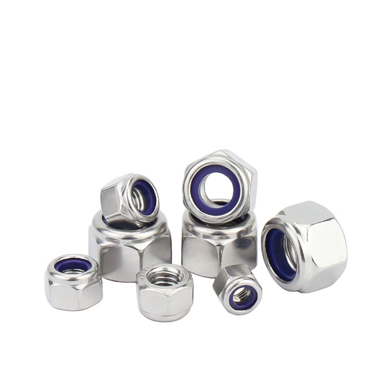 SS304 SS316 Stainless Steel Hex Nylon Lock Nut Brass Material M3 M4 M5 M6 M8 M10 DIN982 DIN985