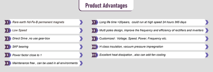 480V PermanentMagnetGenerator with Advanced Brushless DC Motor And Drive Technology
