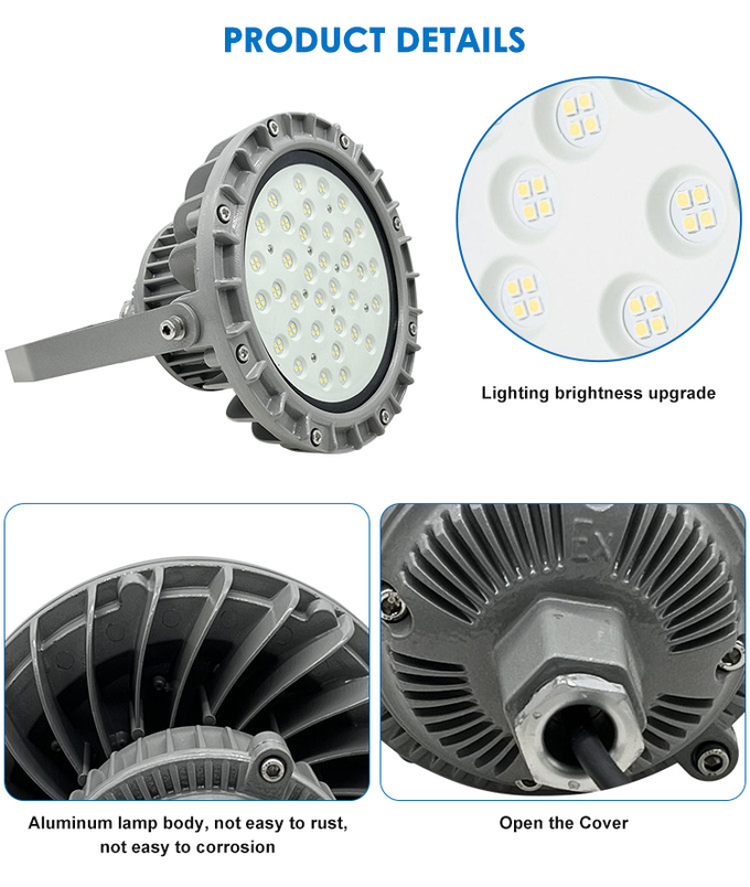 Explosion Proof High Bay Light Fixture 50W 100W 200W