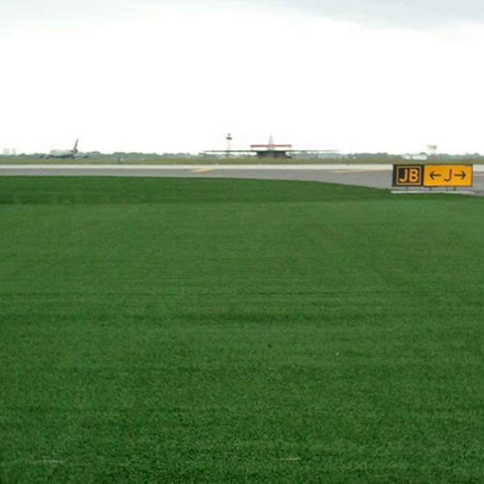 Straight Plus Curved Non Infill Artificial Turf 43mm Low Maintenance Wear Resistant High Permeablity