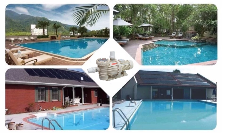 swimming pool pump