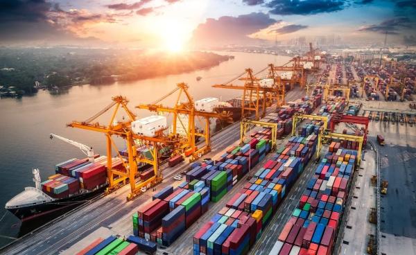 Professional LCL Container Shipping From Yantian Xiamen Lianyungang To USA