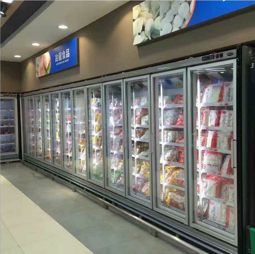 Copeland Compressor Glass Door Upright Freezer Single - Temperature Style