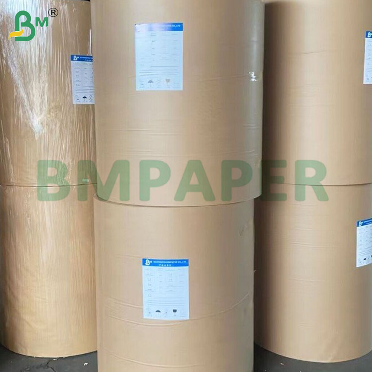 230gsm+15gsm PE Coating Cup Stock Paper Rolls Good Stretchability
