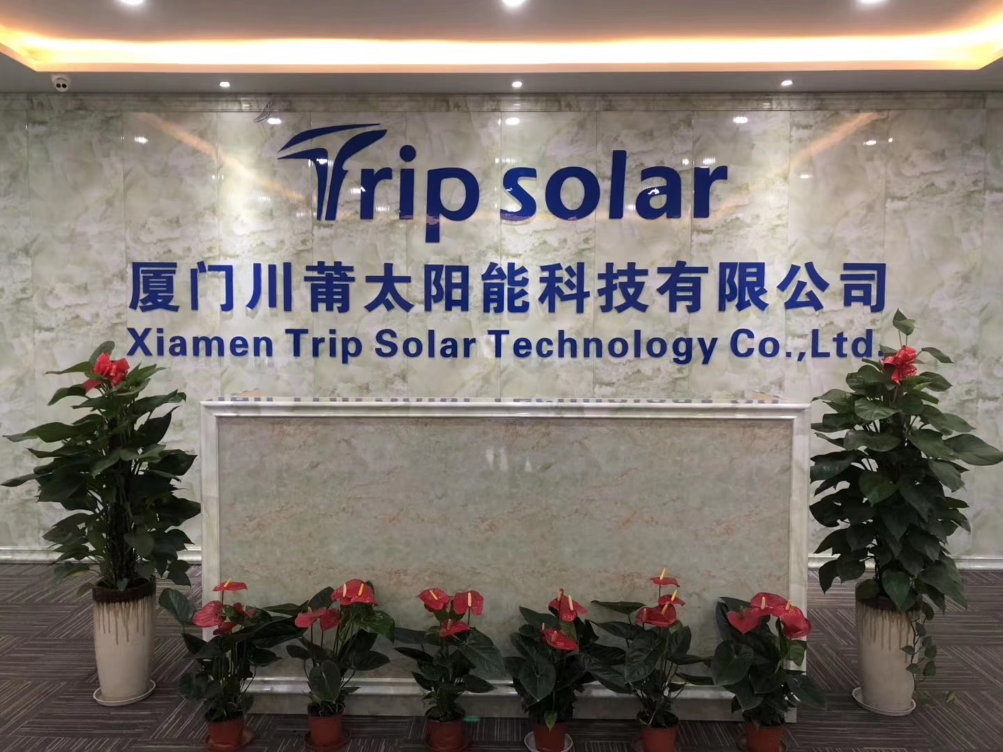 120/230V Auto Switch Solar Micro Inverter for Hybrid and Grid Tie Output Type Single