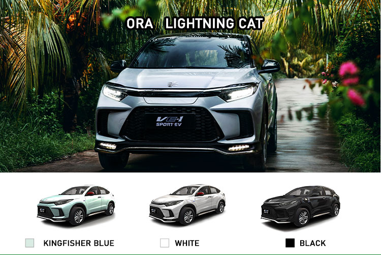 Energy Vehicle GAC-Honda VE-1 EV 2023 with 420km Pure Electric Cruising Range and Speed Electric Performance