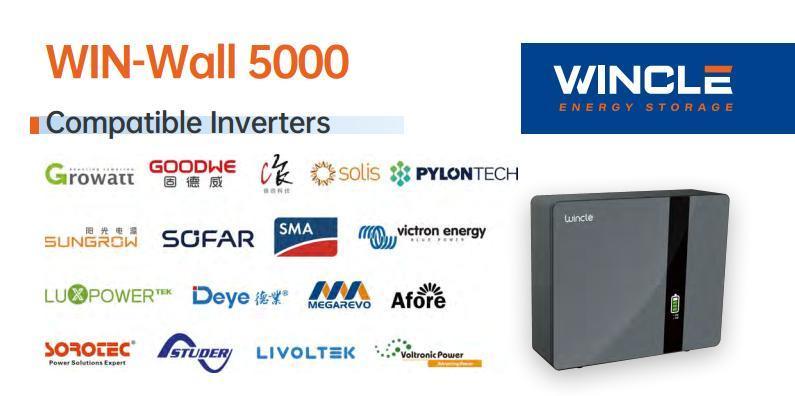 51.2V100ah Lithium Ion Li-ion LiFePO4 Solar Energy Storage Wall Mounted Rechargeable Battery