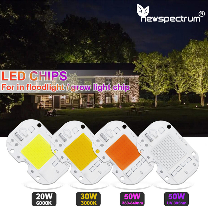 Customized Brightness Chip LED COB Module Driverless Lamp Beads For Foold Light