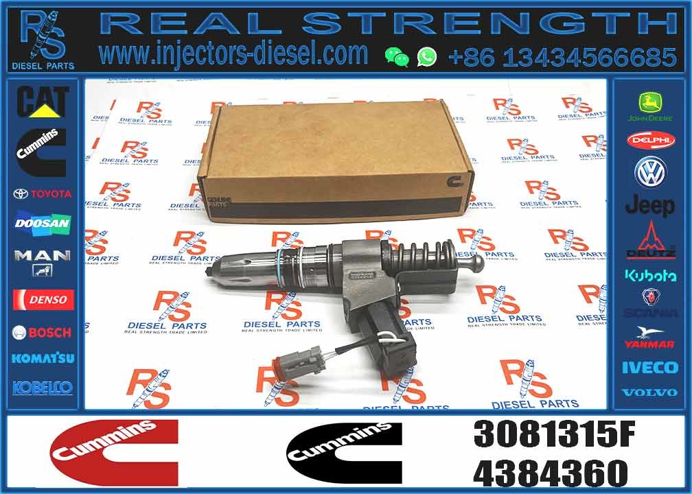 High Quality 3081315F Common Rail Injector 3081315F Auto Parts Injector