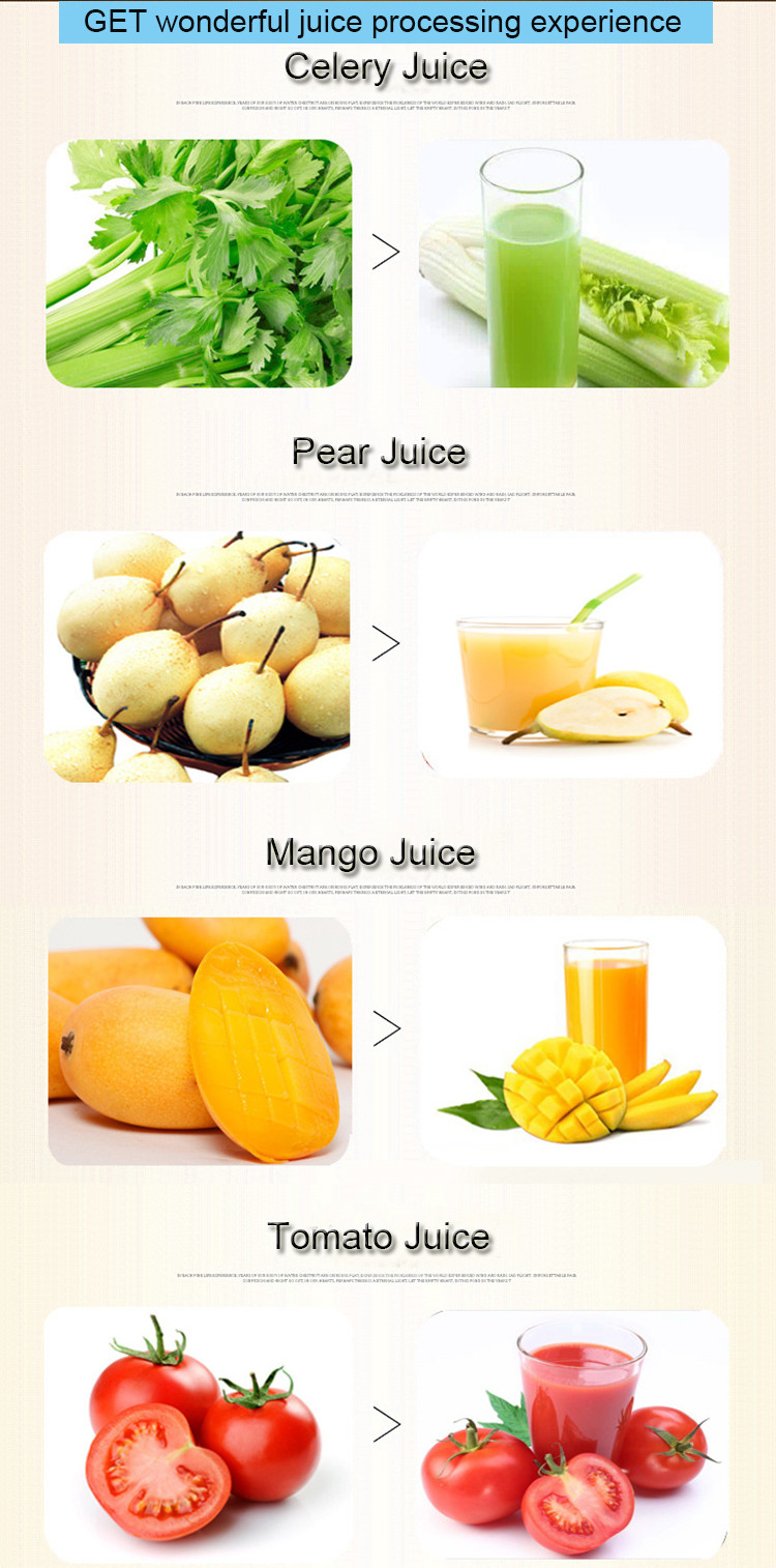 Automatic Apple Juicer Machine 100kg Juice Extractor Machine