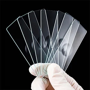 Microscope Slides