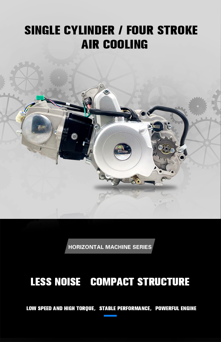 110CC 4 Stroke DAYANG Tricycle Motorcycle Engine with Dual Clutch and Electric/Kick Start
