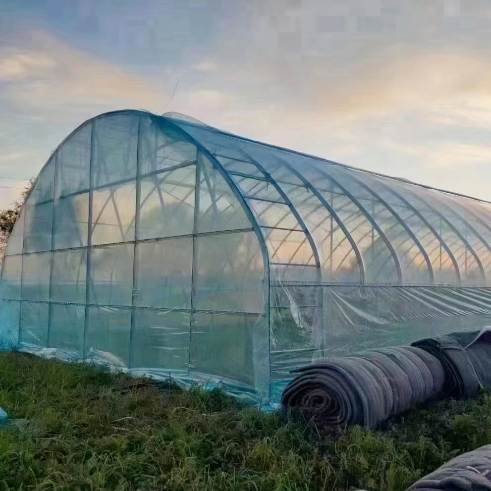 Innovative Agriculture Arches Tunnel Greenhouse