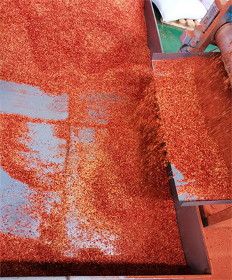 Tientsin Dried Birds Eye Chilli Anhydrous Whole Red Peppers XingLong