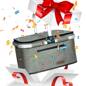 The Gift