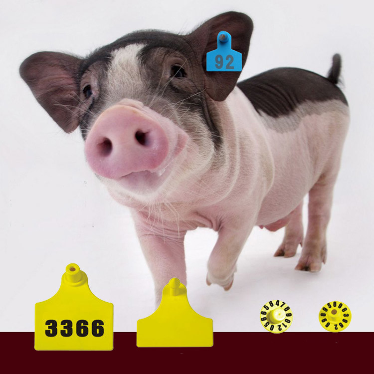 Dia30mm Female Pig Ear Tags Laser Printed Logo Anti Bite Structure