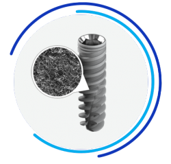ADIN TOUAREG S&OS® Implant Internal Premill Blank Abutment 10mm Engaging Arum Dess Holder