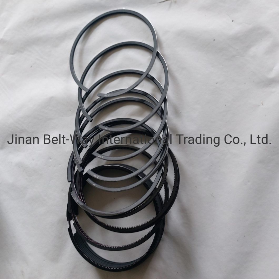 Sinotruk HOWO Parts Truck Parts Truck Spare Parts Piston Ring Vg1560030040