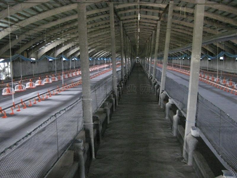 Noiseproof Insulation Chicken Shed Framing Systems Light Steel Frame Sandwich Panel