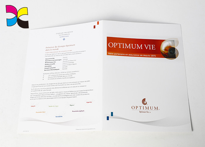 Presentation Paper Expanding Document A4 A2 Size Folder Panton Color