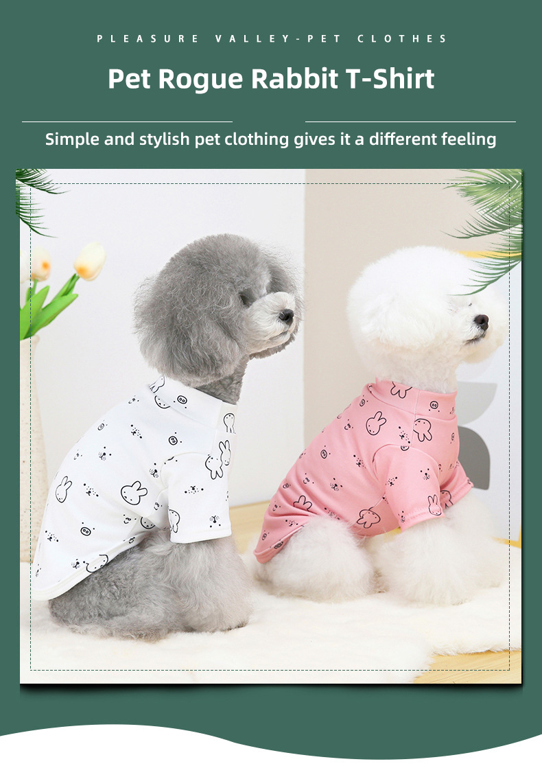 Teddy Dog Logo Pets Wearing Clothes Sublimation 20cm Custom Dog T Shirts