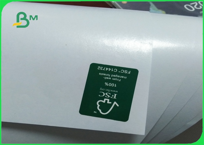 PE coated white bleached kraft paper: 