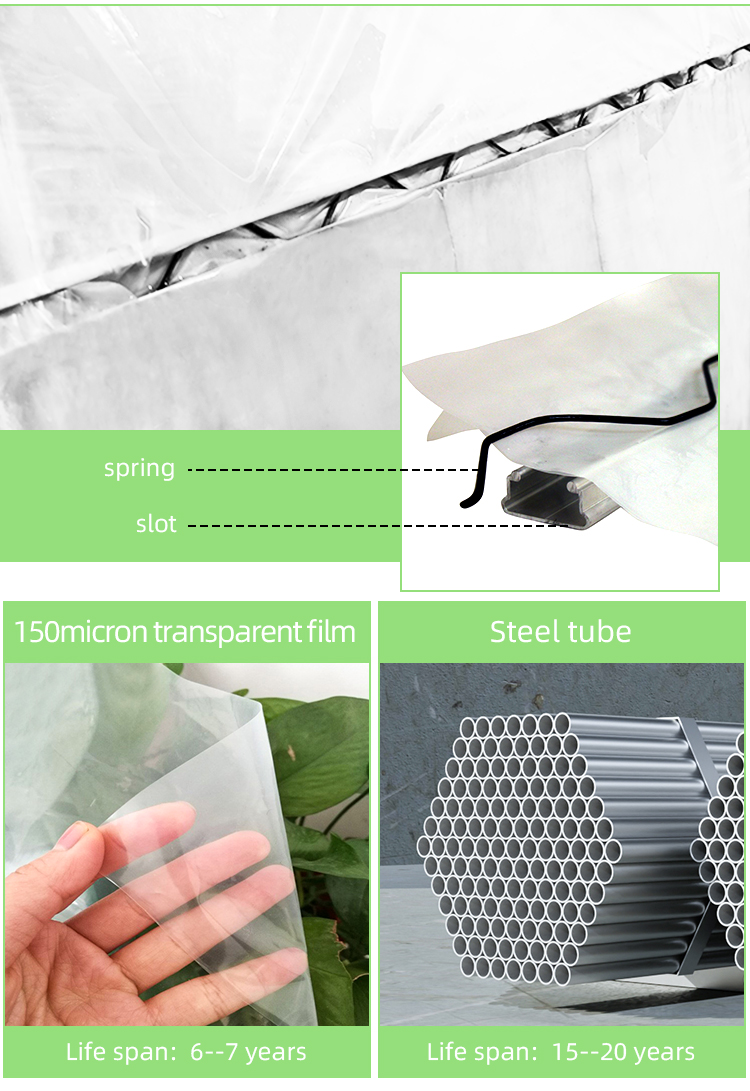 Galvanized Steel Pipe Frame Tunnel Greenhouse for Vegetables and Fruits