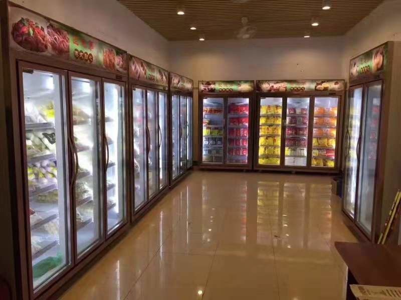 Auto Defrost Double Door Rh70% Commercial Display Freezer