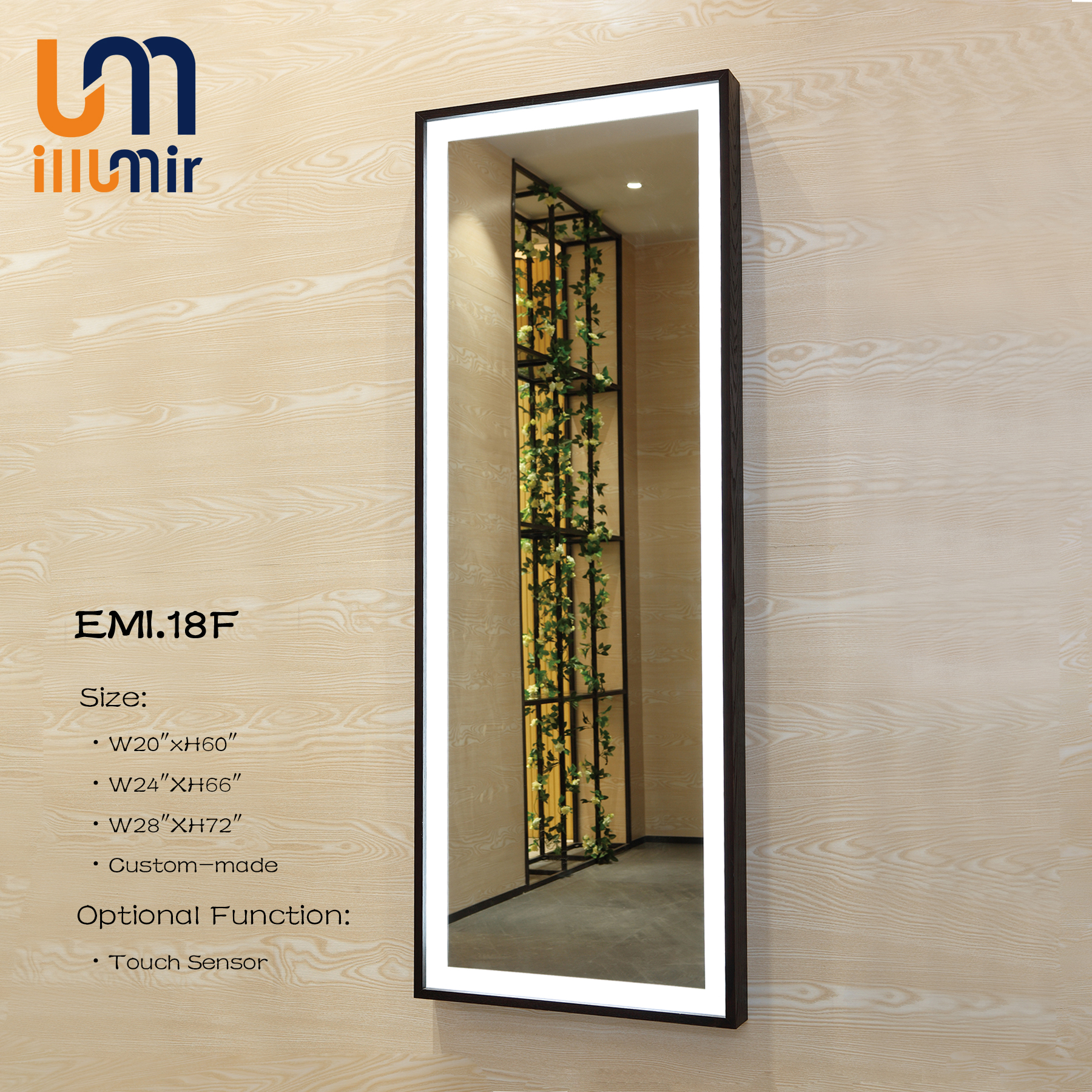 Decoration Illuminated Dressing Room Mirrors Wall Mounted Customized