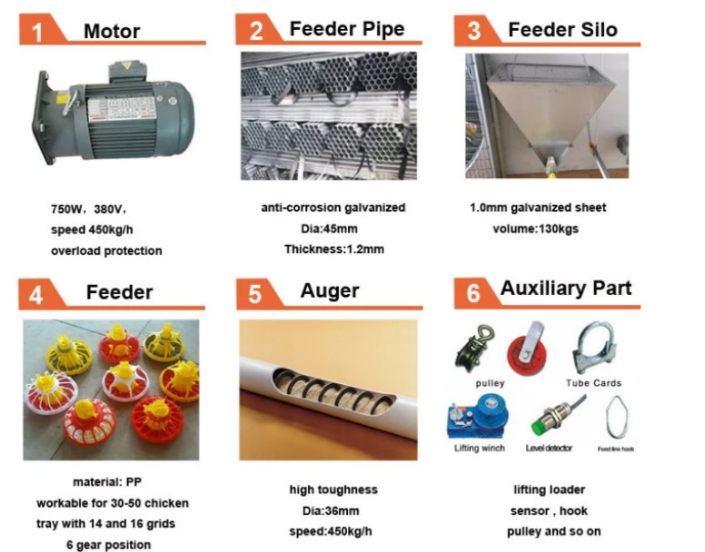Poultry Automatic Broiler Feeding System For Floor Chicken House