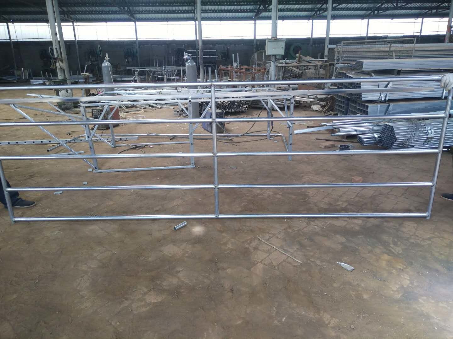 Anti Rust Galvanized 2400x1170mm Livestock Handling Equipment