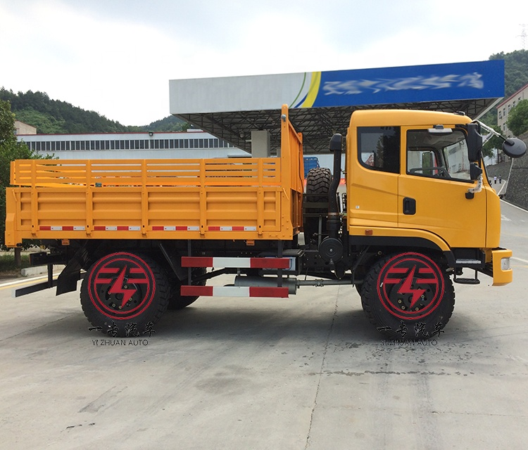 Customer's Requirements Diesel Materials Transport Pickup Cargo Truck by Dongfeng 4x4