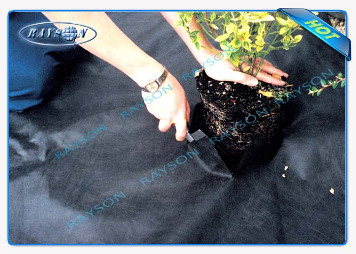 Black / White Color Wide Width Join Garden Weed Control Fabric , Agriculture Non Woven Cover