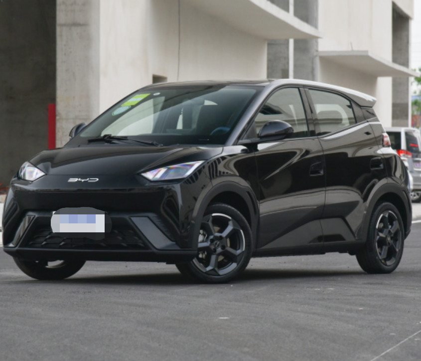 Top EV Cars Seagull 2023 flying version Electric Small car 5 door 4 seat hatchback