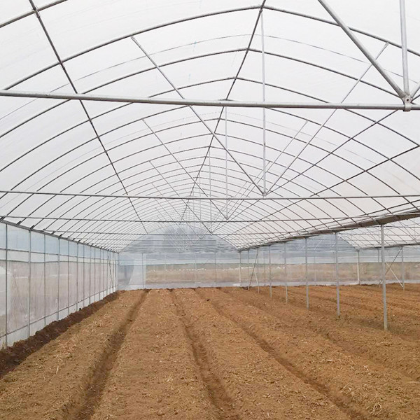 Economical Multi Span Greenhouse For Pepper Farming Rainwater Collection