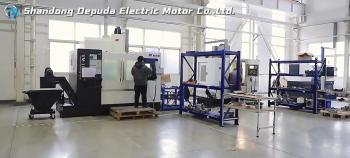 Shandong Depuda Electric Motor Co., Ltd.