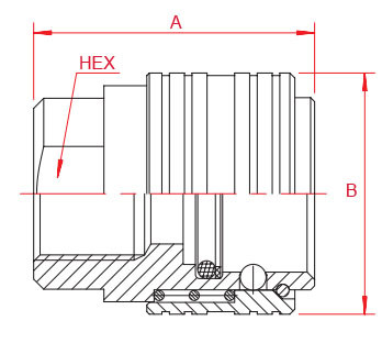 BSPP 1/8'' Stainless Steel Quick Connect Fittings