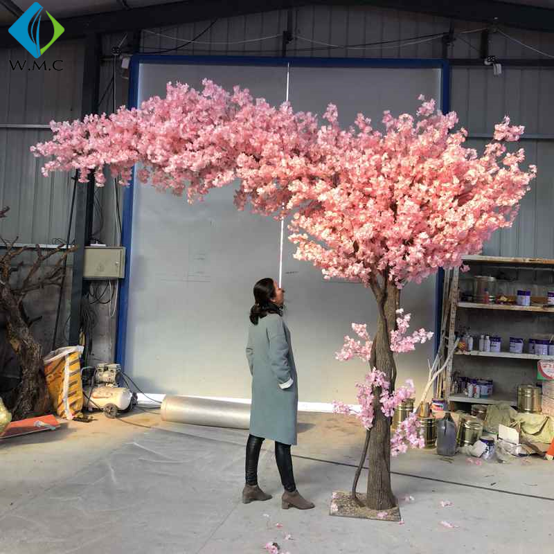 43 cherry blossom tree.jpg