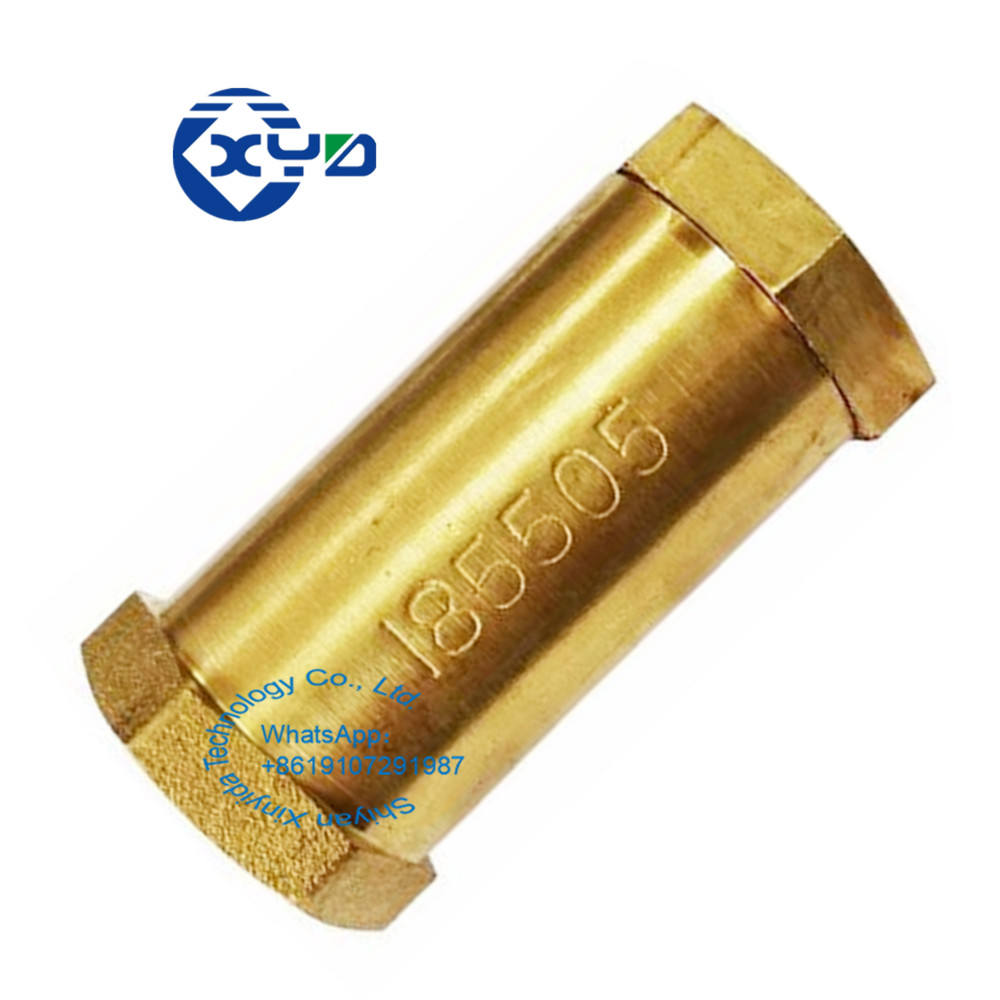 NT855 Engine Car Valve Replacement Cummins Truck 185505 3028325 3028324 178079 Check Valve